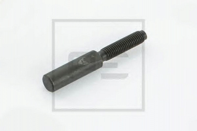 PE AUTOMOTIVE 01403000a -  Поликлиновой винт, рессорный болт